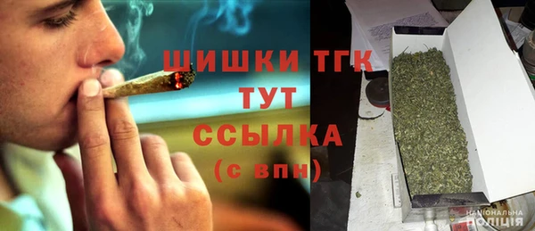 мдпв Осинники
