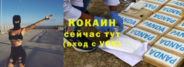 твердый Абаза