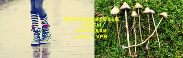 МДПВ Осташков